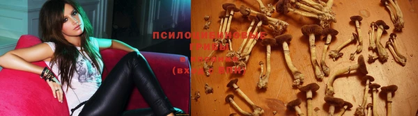 эйфоретик Козельск