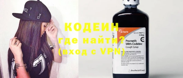 прущие грибы Кодинск