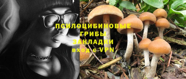 MESCALINE Козловка
