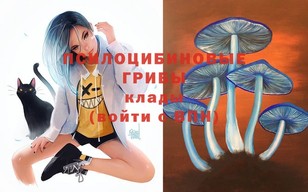 скорость Кинешма