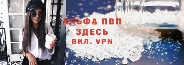 прущие грибы Кодинск
