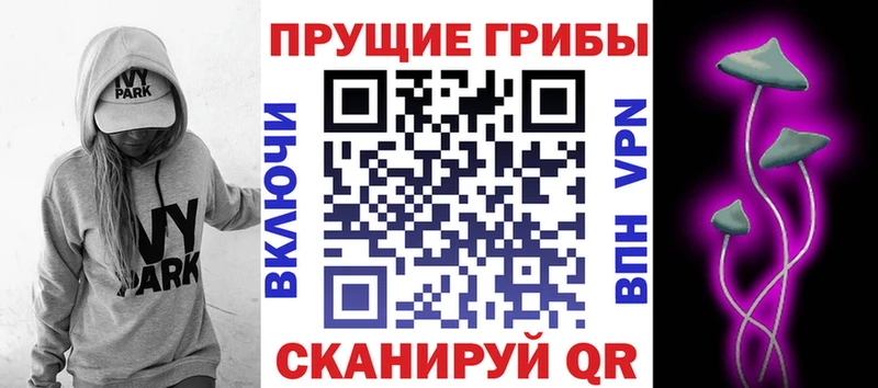 наркошоп  Красноармейск  Псилоцибиновые грибы прущие грибы 